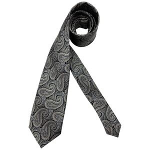 🆕PRONTO UOMO Gray/Blue/Gold Paisley Silk DESIGNER Tie